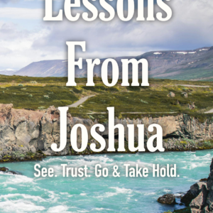 Lessons from Joshua: Ministry 5-Pack